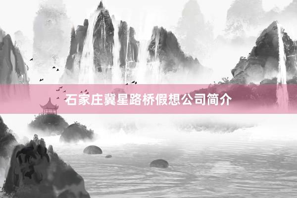 石家庄冀星路桥假想公司简介