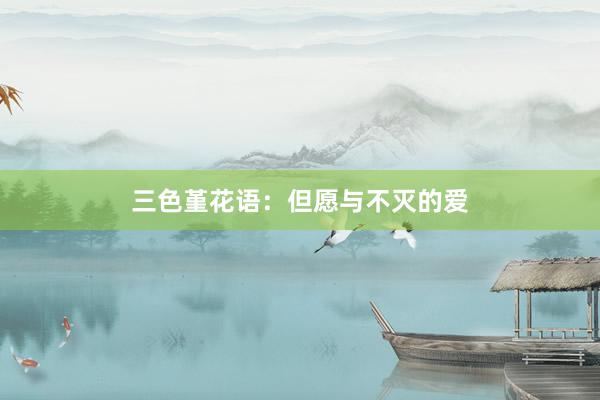 三色堇花语：但愿与不灭的爱