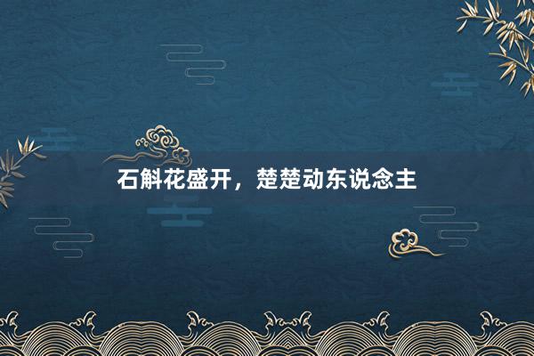 石斛花盛开，楚楚动东说念主