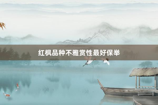 红枫品种不雅赏性最好保举