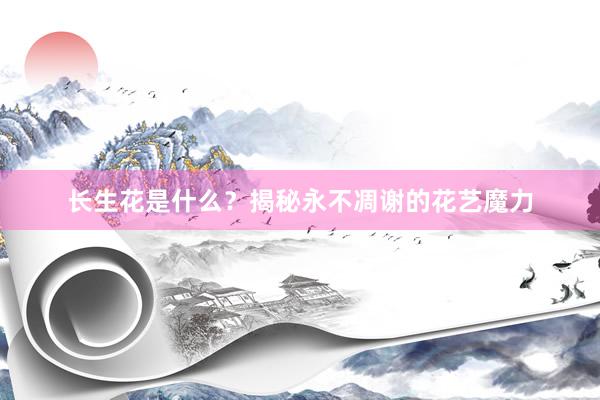 长生花是什么？揭秘永不凋谢的花艺魔力