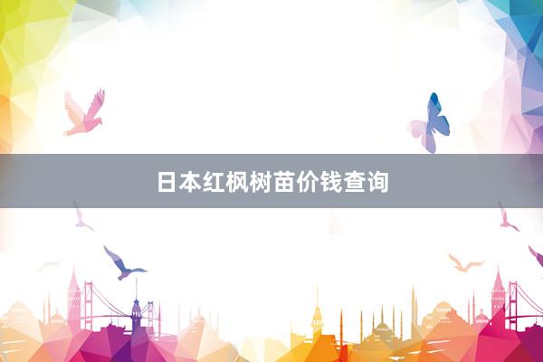 日本红枫树苗价钱查询