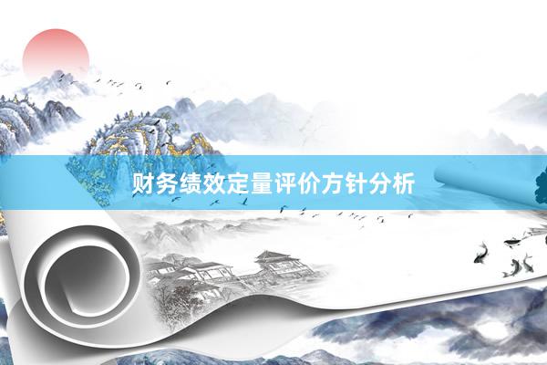 财务绩效定量评价方针分析